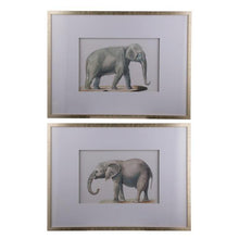 Load image into Gallery viewer, Lounge Styles Dasch Set of 2 Elephant Framed Prints