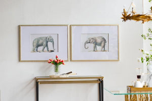 Lounge Styles Dasch Set of 2 Elephant Framed Prints