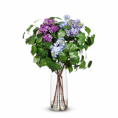 Lilac Mix in Vase 81cmh - Lavender Purple