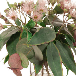 Eucalyptus Flowering Mix in Vase 36cmh - Pink