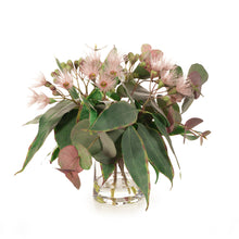 Load image into Gallery viewer, Eucalyptus Flowering Mix in Vase 36cmh - Pink