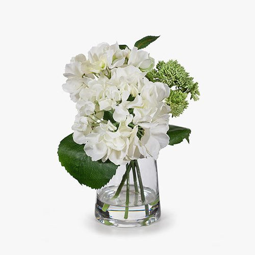 Hydrangea Sedum Mix in Vase 28cmh - Cream Green