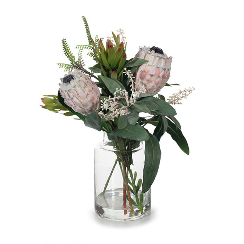 Protea Magnifica Mix in Vase 45cmh - Cream