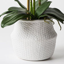 Load image into Gallery viewer, Orchid Phalaenopsis in White Weave Pot 70cmh - White