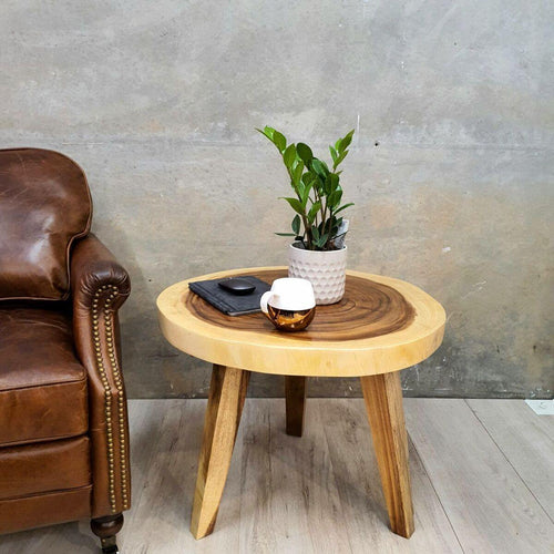 Lounge Styles Mango Trees Kimberley Coffee Table Rain Tree Wood Live Edged