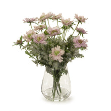 Load image into Gallery viewer, Scabiosa Mix in Vase 55cmh - Pink Lavender